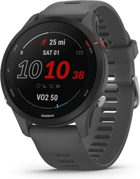 Montre Connectée Garmin Forerunner 255